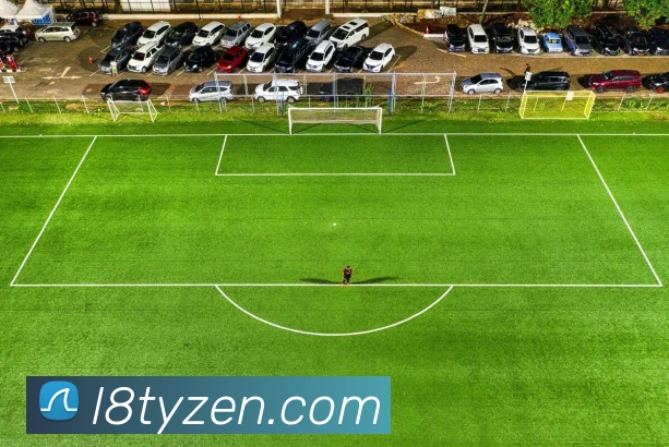 龙八体育平台生态图