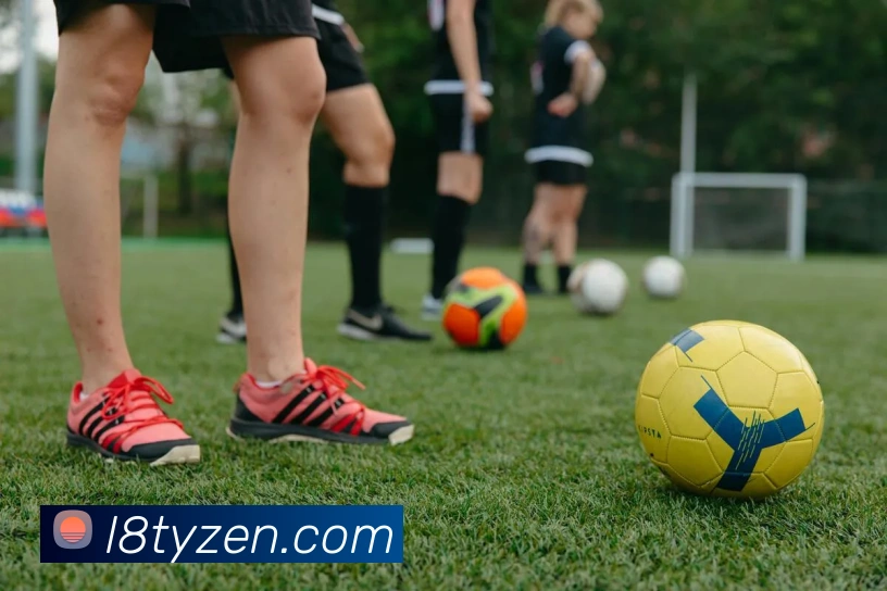 龙八体育APP 封面图